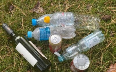 Od śmiecia do surowca – jak system kaucyjny uczy nas myślenia w obiegu