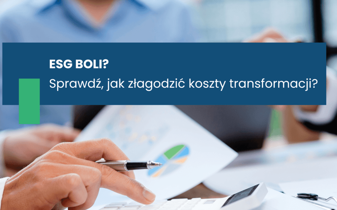 ESG BOLI?  SPRAWDŹ, JAK ZŁAGODZIĆ KOSZTY TRANSFORMACJI?